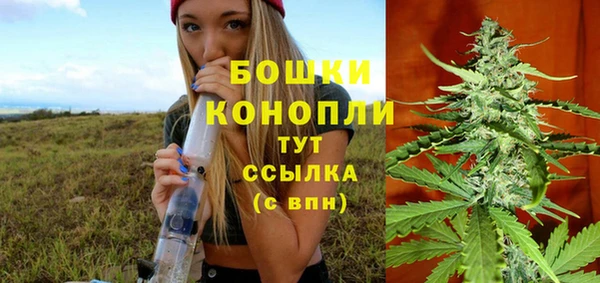 метадон Инта