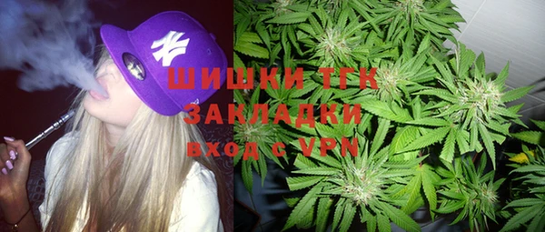 метадон Инта