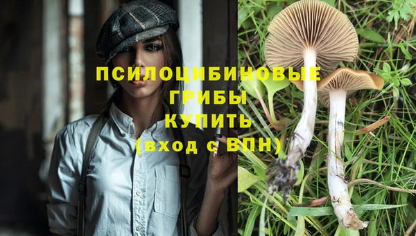 хмурый Иннополис